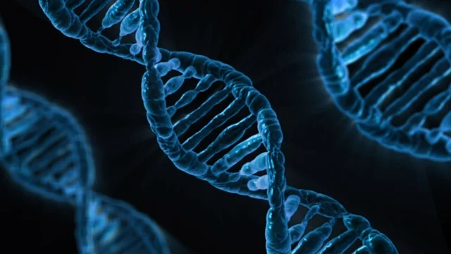 Witcobond水性聚氨酯分散體在建筑防水材料中的應(yīng)用實(shí)踐